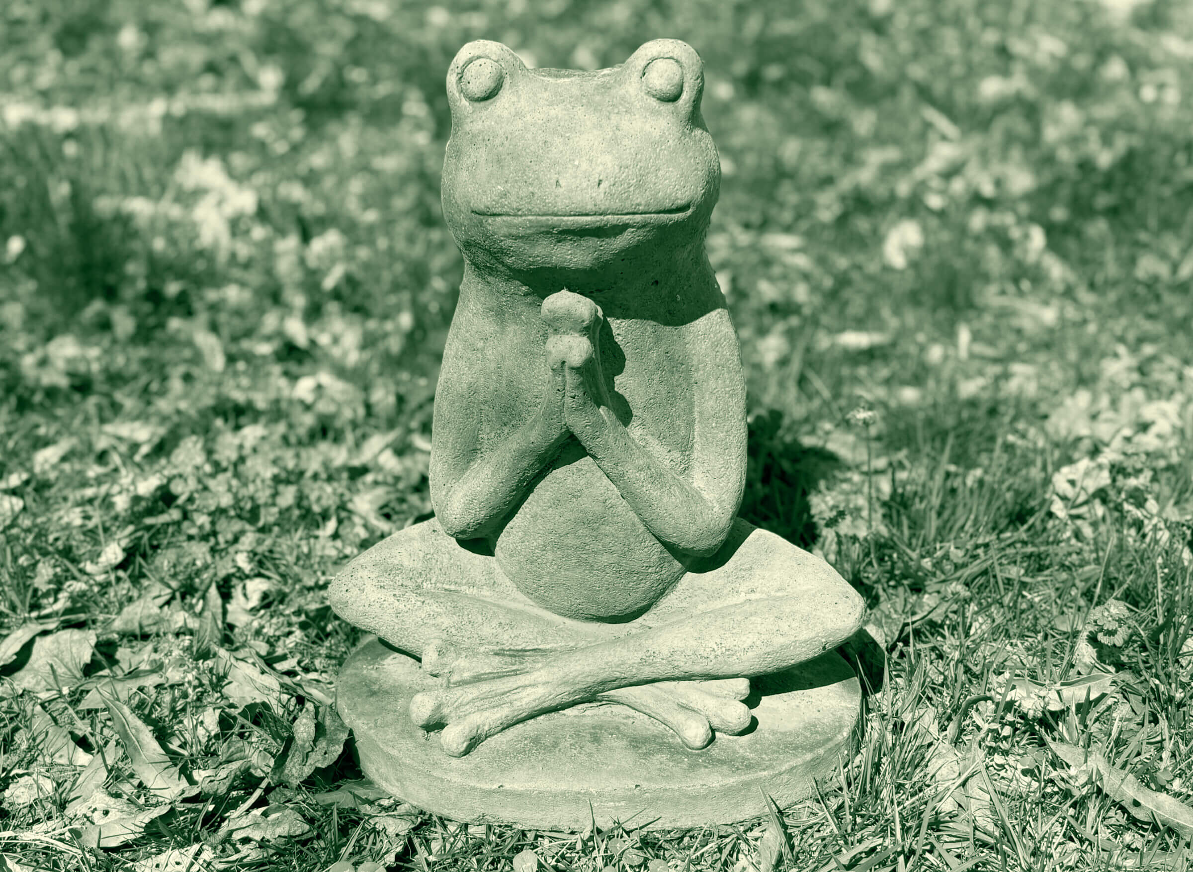 meditating-frog-statue-in-grass